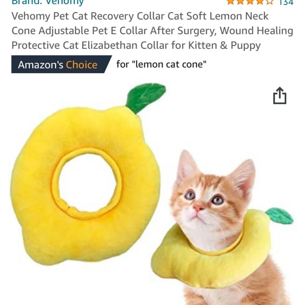 Cat/Small Dog Protective Cone Collars